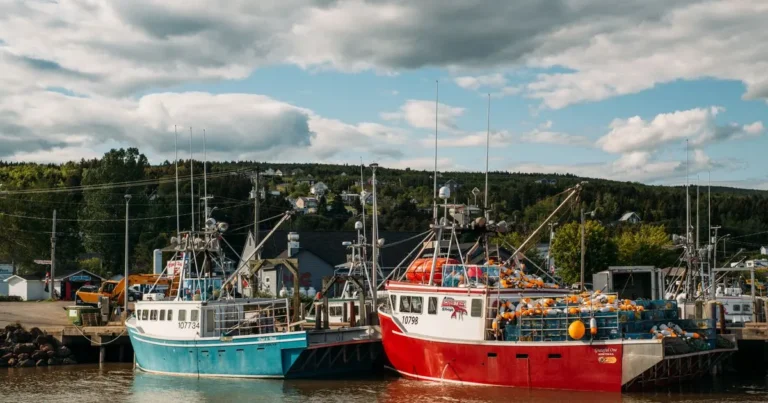 Debt consolidation New Brunswick: fishing boats from Saint John and Moncton docked at Alma on the Bay of Fundy