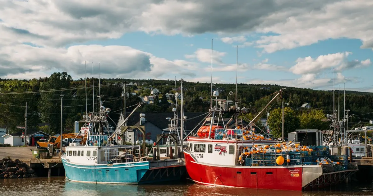 Debt consolidation New Brunswick: fishing boats from Saint John and Moncton docked at Alma on the Bay of Fundy