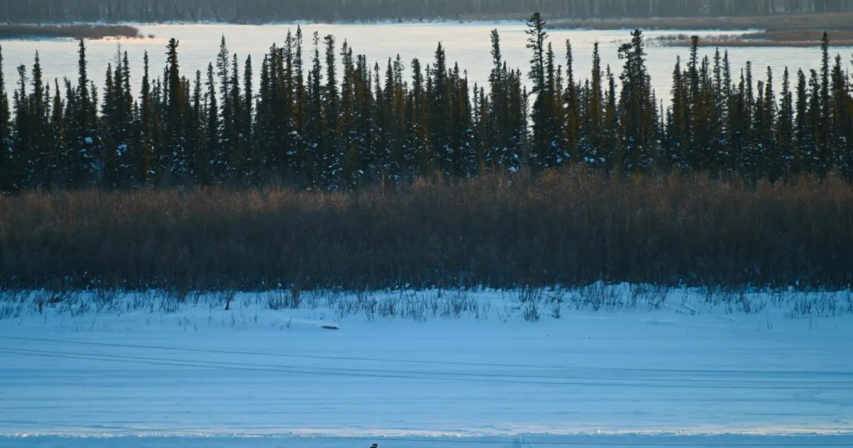 Debt consolidation Northwest Territories: a cyclist crossing an ice road near Inuvik